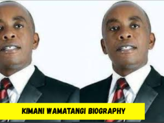 kimani wamatangi biography